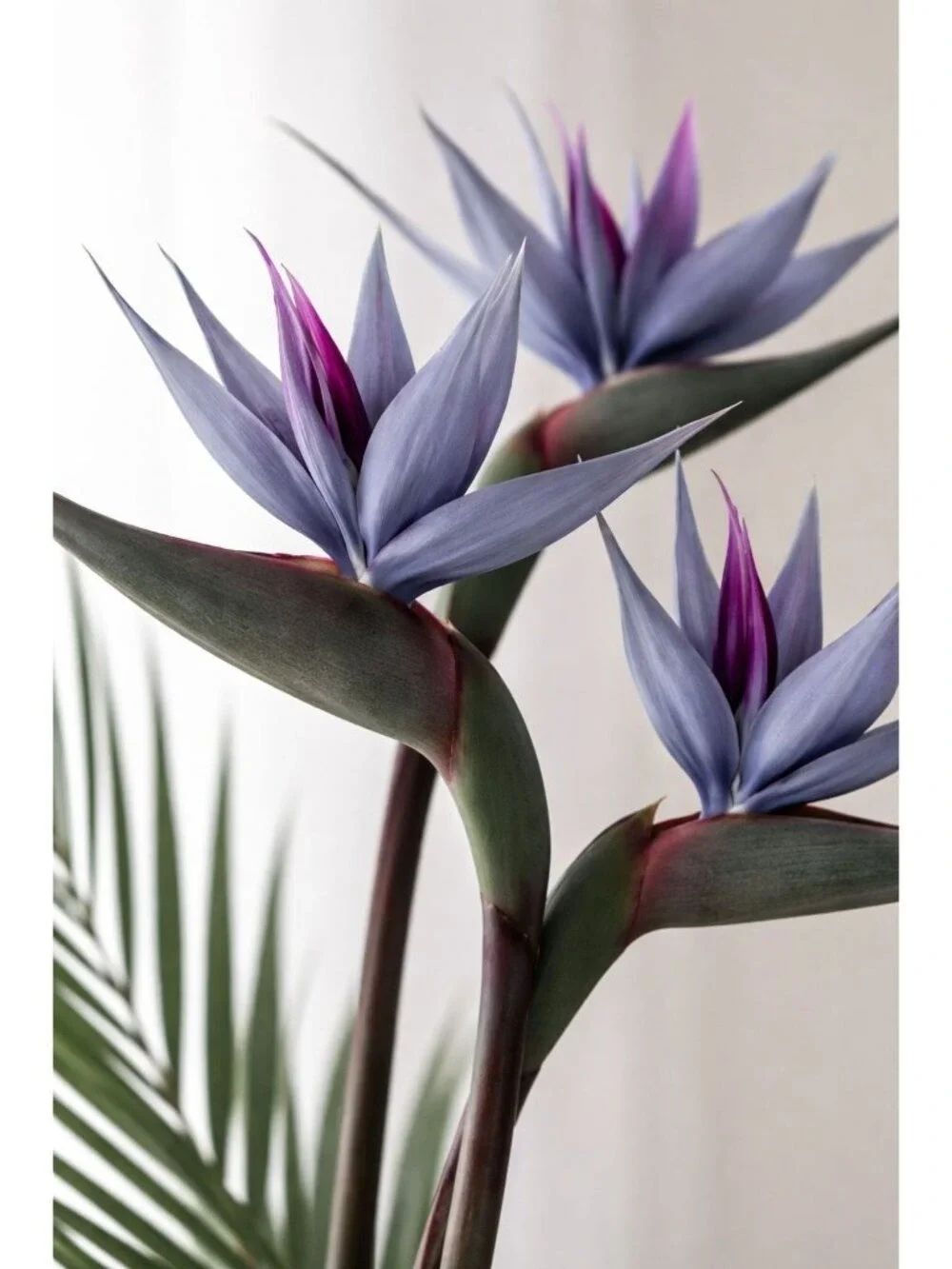 Bird of Paradise Stems Set of 3 Faux Tropical Flowers 30 Inch Tall Moody Blue Pu